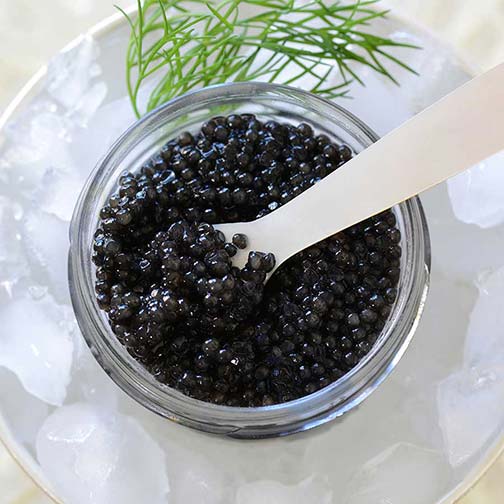Emperior American White Sturgeon Caviar Photo [3]