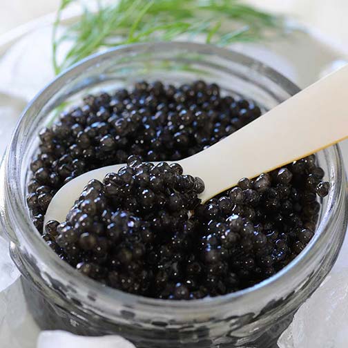 Emperior American White Sturgeon Caviar Photo [4]