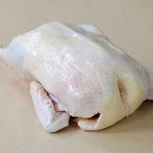 Whole Muscovy Duck Hen | Gourmet Food Store Photo [2]