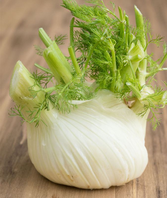 fall harvest fennel