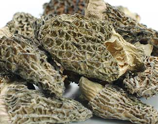 mid-morel.jpg