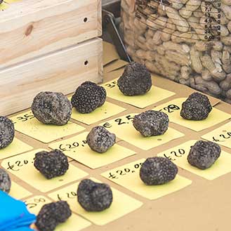 How Much Are Truffles?