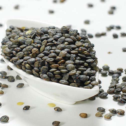 Lentils, French Green - Dry Photo [1]