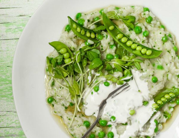 Minty Fresh Risotto Recipe