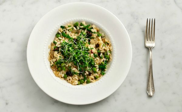 Put Some Spring In Your Lemon Risotto