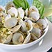 Oysters