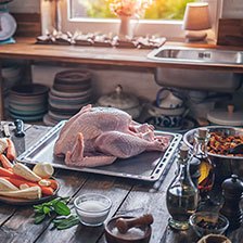 Thanksgiving Collection