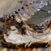 Super Bowl Recipes