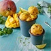Ice Cream and Gelato Ingredients