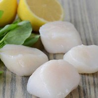 Scallops