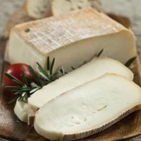 Taleggio