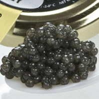 Sturgeon Caviar