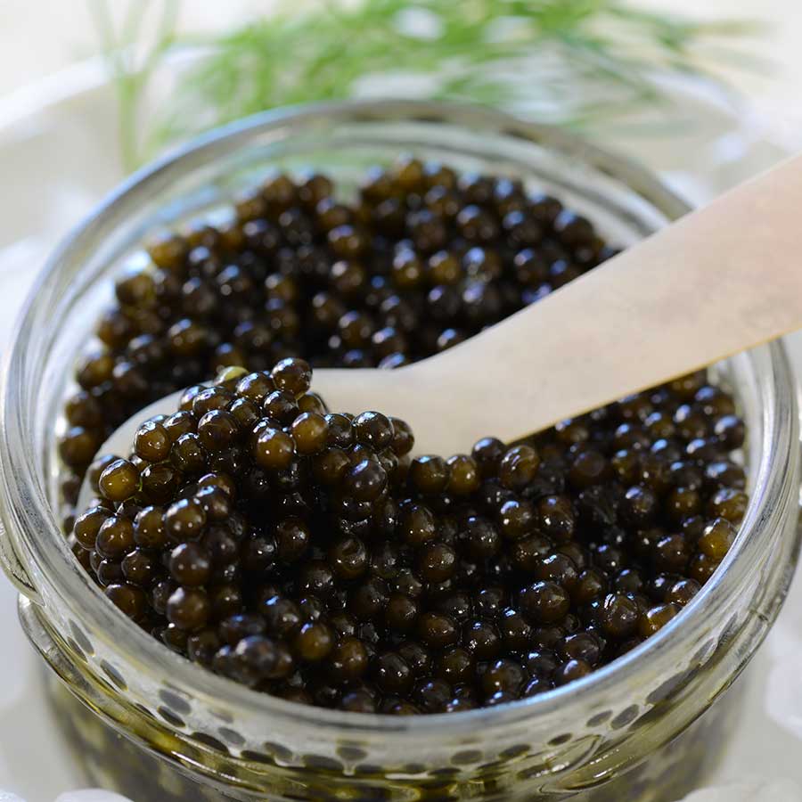 Beluga Hybrid Caviar - Malossol, Farm Raised