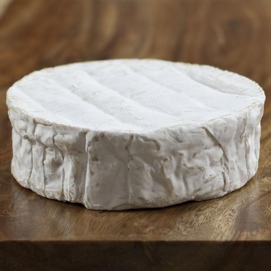 ARCHAEOLOGY OF CHEESE - Camembert - Chef's Mandala