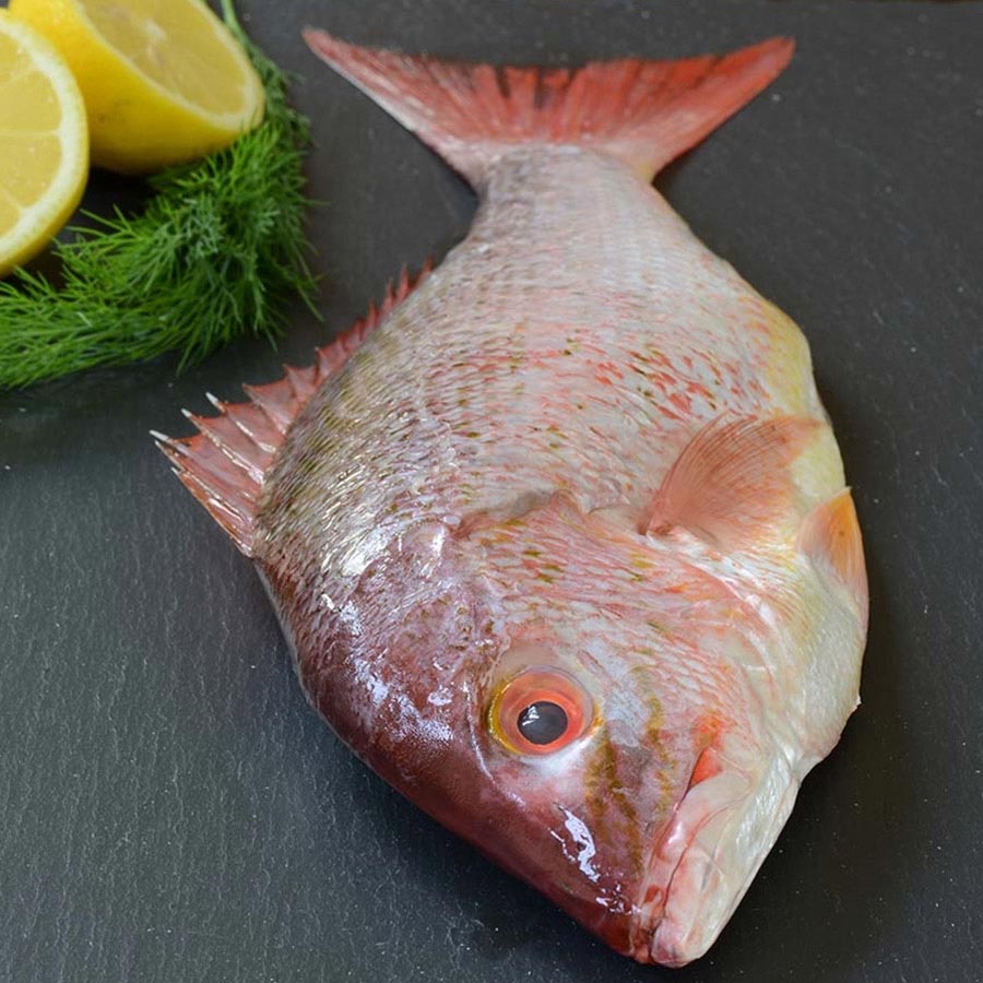 How About Some Very Affordable Domestic Genuine American Red Snapper? -  Congressional Seafood