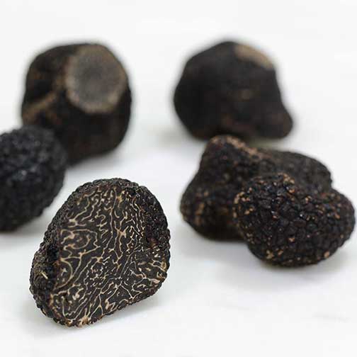 Fresh Black Winter Truffles from Italy - Mini Size Photo [2]