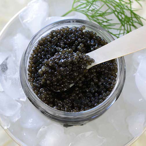Emperior Sevruga Caviar - Malossol, Farm Raised Photo [3]