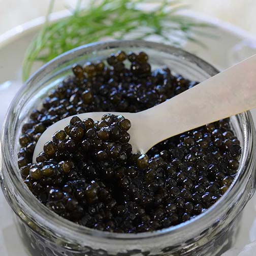 Emperior Osetra Russian Caviar - Black, Malossol - Gourmet Food Store