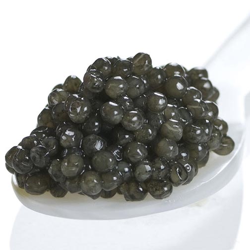 Sevruga Caviar - Malossol, Farm Raised Photo [2]
