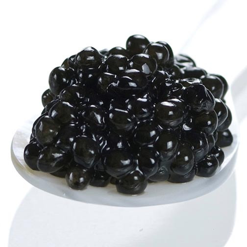 American White Sturgeon Caviar Farm Raised Sturgeon