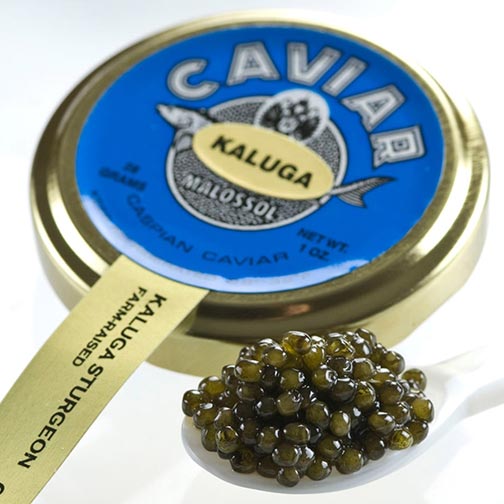 Kaluga Sturgeon Caviar - Malossol, Farm Rised Photo [3]