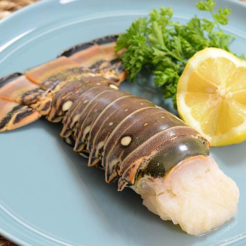 Buy delicious lobster tails imported from Brazil and enjoy their full flavor Photo [2]