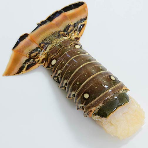 Buy delicious lobster tails imported from Brazil and enjoy their full flavor Photo [3]