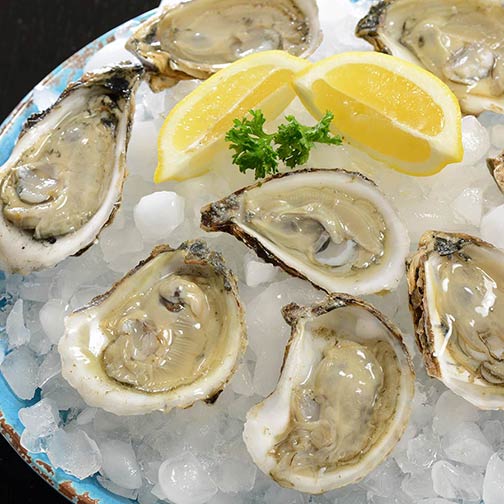 Blue Point Oysters Photo [2]