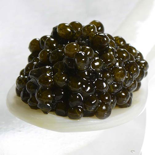 Kaluga Fusion Black Sturgeon Caviar - Malossol, Farm Raised Photo [2]