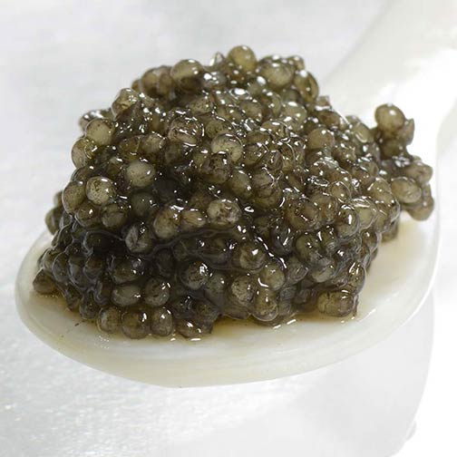 Sterlet Caviar - Malossol, Farm Raised Photo [2]