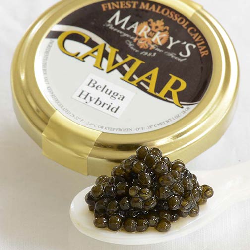 Beluga Hybrid Caviar - Malossol, Farm Raised Photo [3]