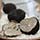Buy Fresh Black Summer Truffles Online | Gourmet Food Store Photo [3]