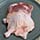 Asian Style Muscovy Duck Legs Recipe Photo [2]