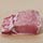 Berkshire Pork Loin | Berkshire Pork for Sale | Boneless New York Strip Photo [2]