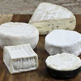 5 Favorites Cheese Sampler