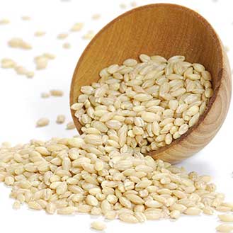 Barley - Pearl