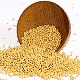 Mustard Seeds - Yellow