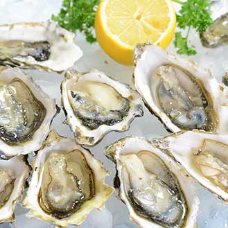 Oyster Nutrition