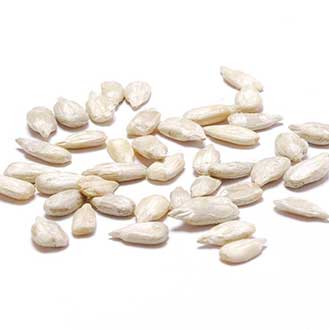 Sunflower Seeds, Raw, Without Shells