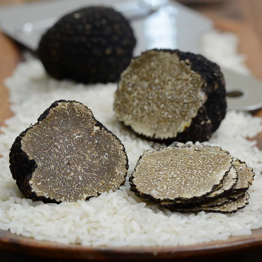 Fresh Black Italian Summer Truffle Combo