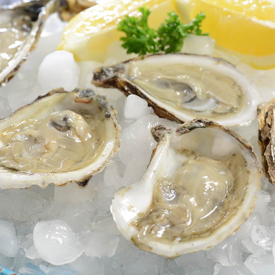 Blue Point Oysters | Best Raw Oysters | Live Oysters For Sale