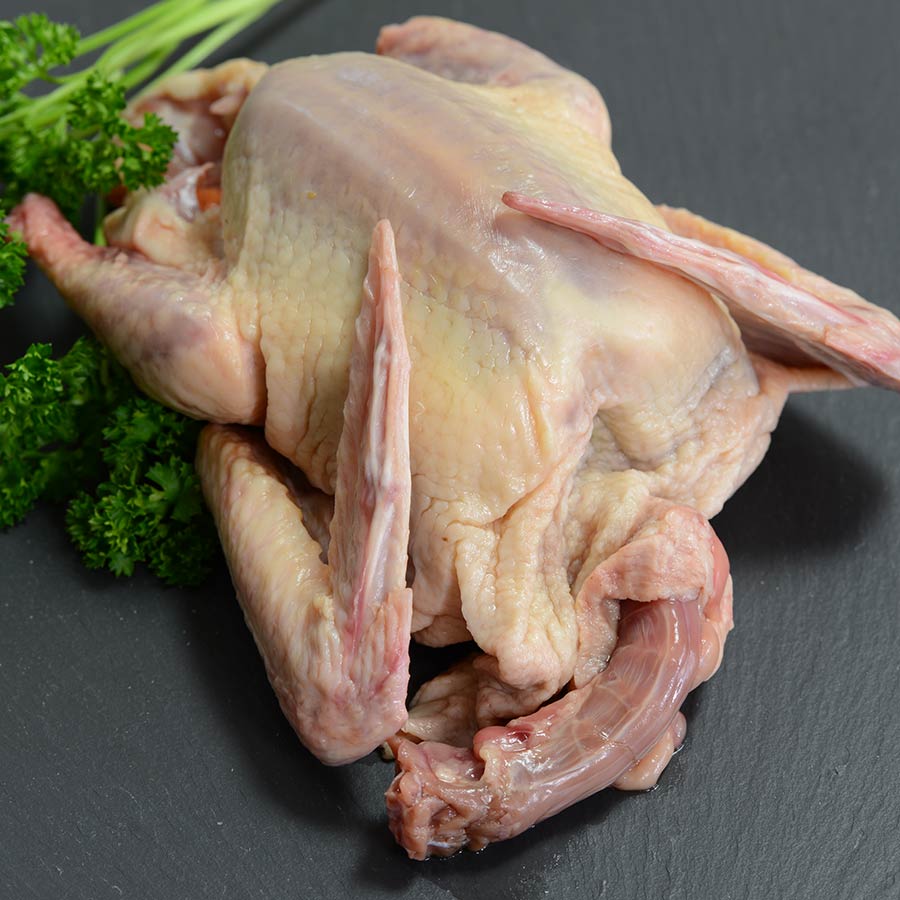 Squab for Sale Buy Pigeon Meat Whole Squab