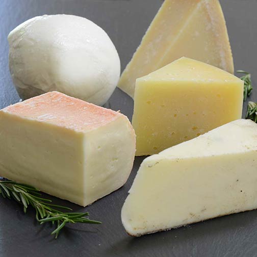 5 Favorites Cheese Sampler Photo [1]