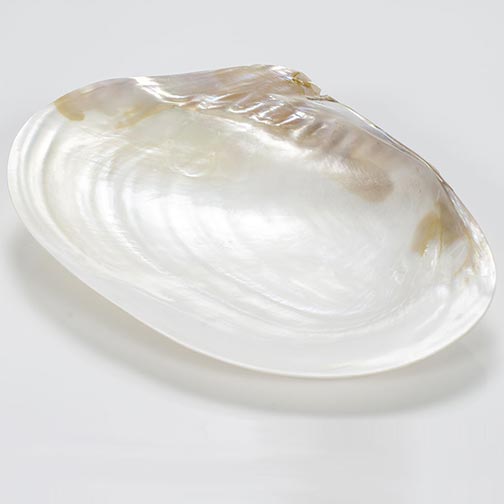 Hand Carved Mother of Pearl Caviar Serving Plate - 23 x 13 cm