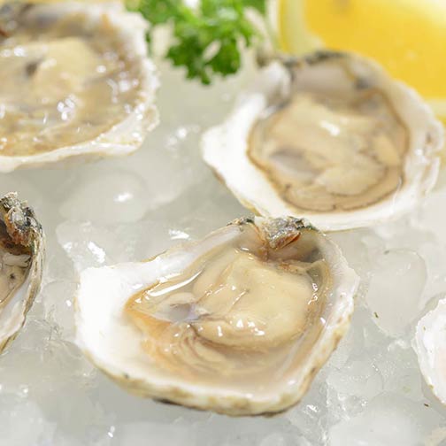 Blue Point Oysters Photo [1]