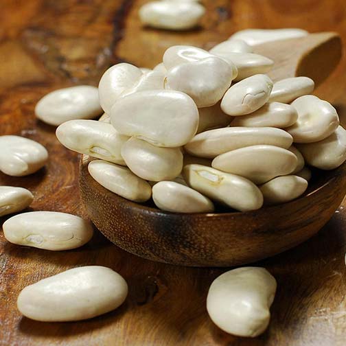 Lima Beans - Giant Peruvian, Dry Photo [1]
