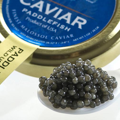 American Paddlefish Caviar - Malossol Photo [1]