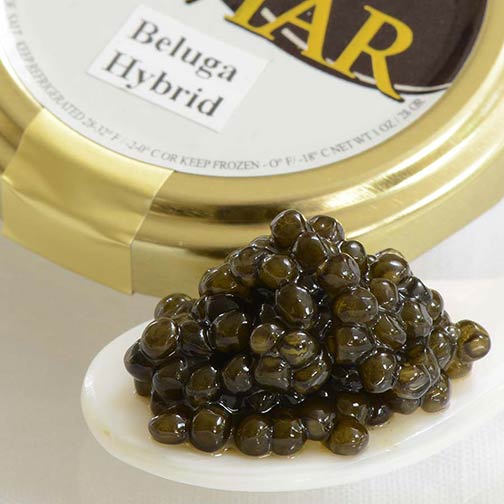 Beluga Hybrid Caviar - Malossol, Farm Raised Photo [1]
