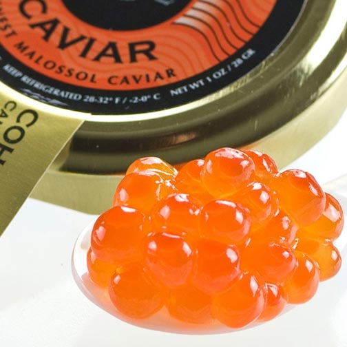 Canadian Salmon Roe Caviar - Malossol Photo [1]