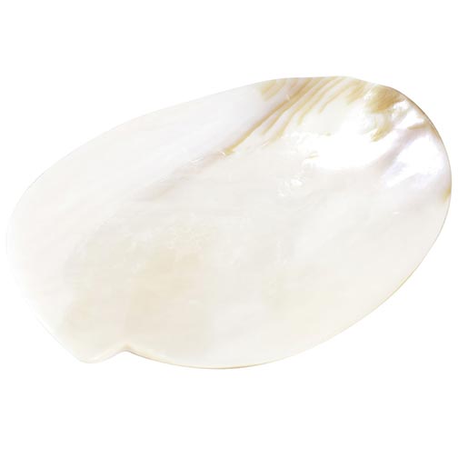 Hand-Carved Mother of Pearl Caviar Serving Plate - 12 cm x 8 cm Photo [1]